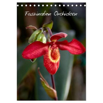 Faszination Orchideen (Tischkalender 2027 DIN A5 hoch), CALVENDO Monatskalender
