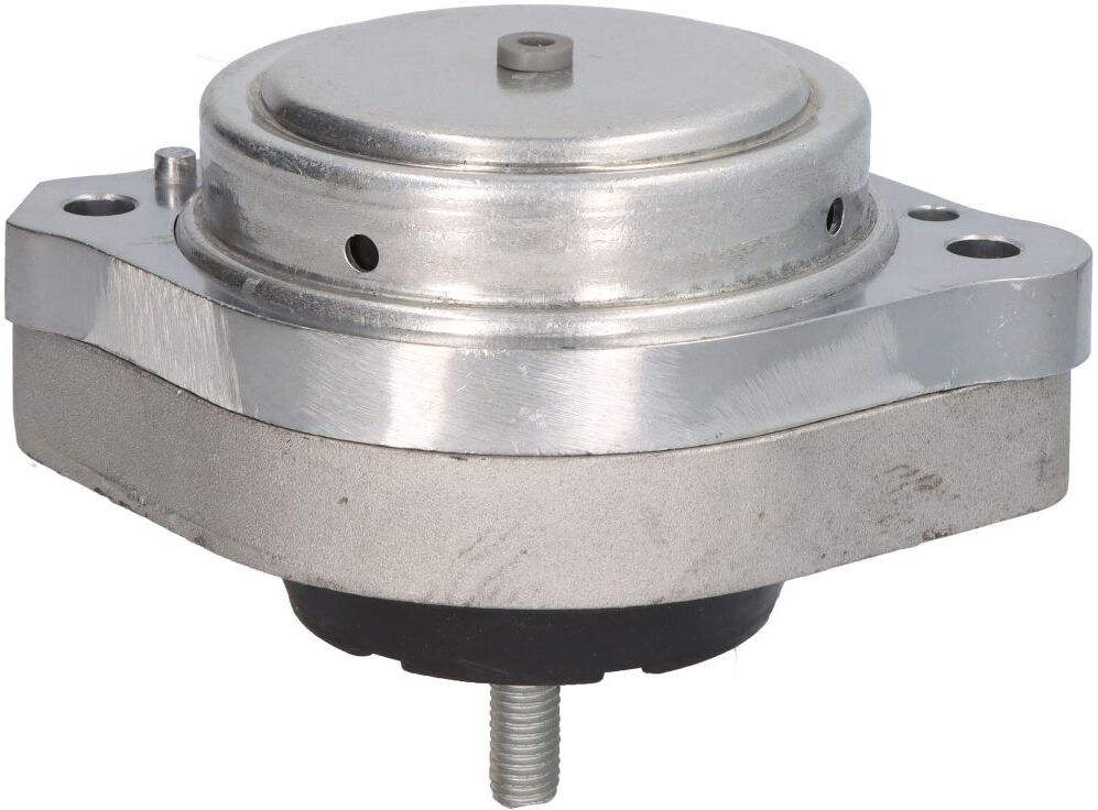 Reinhoch Corpo in gomma, sospensione motore RH11-3077