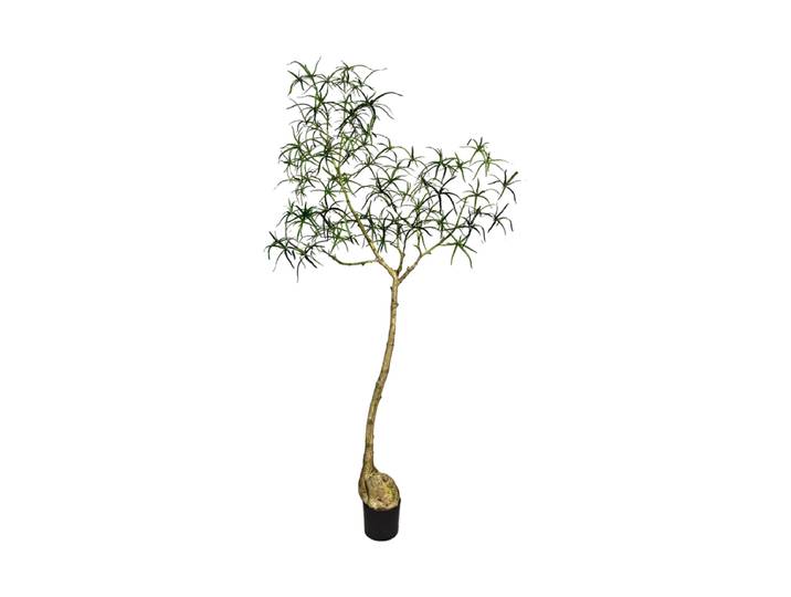 Lebensechte Kunstpflanze „Queensland bottle Tree XL“, Ø 50 x 200 cm Grün Baq Design
