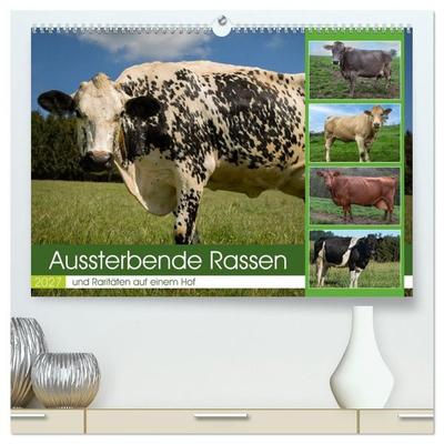 Aussterbende Rassen und Raritäten (hochwertiger Premium Wandkalender 2027 DIN A2 quer), Kunstdruck in Hochglanz