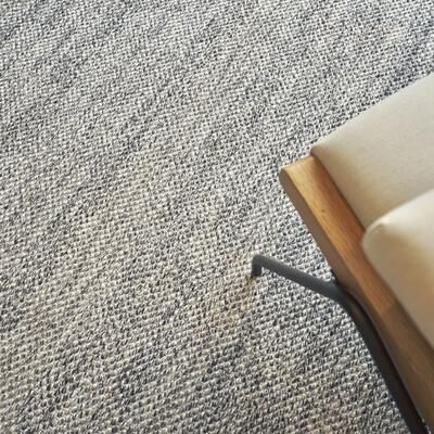 EXQUISITE RUGS Rhodes Hand-loomed PET yarn Black Area Rug.