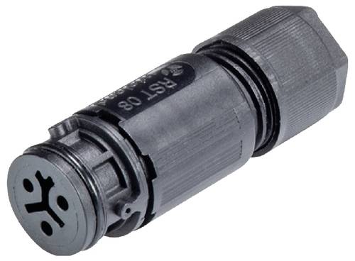 Wieland Electric 41.031.3053.1 Steckverbinder