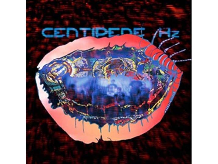 Animal Collective - Centipede Hz