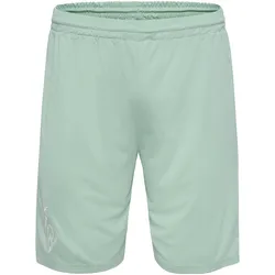 hummel, Unisex, Sporthose, SV Werder Bremen 2024/25 (M), Grün