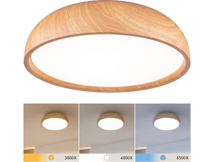 Paulmann Selection Bathroom LED Deckenleuchte Oka