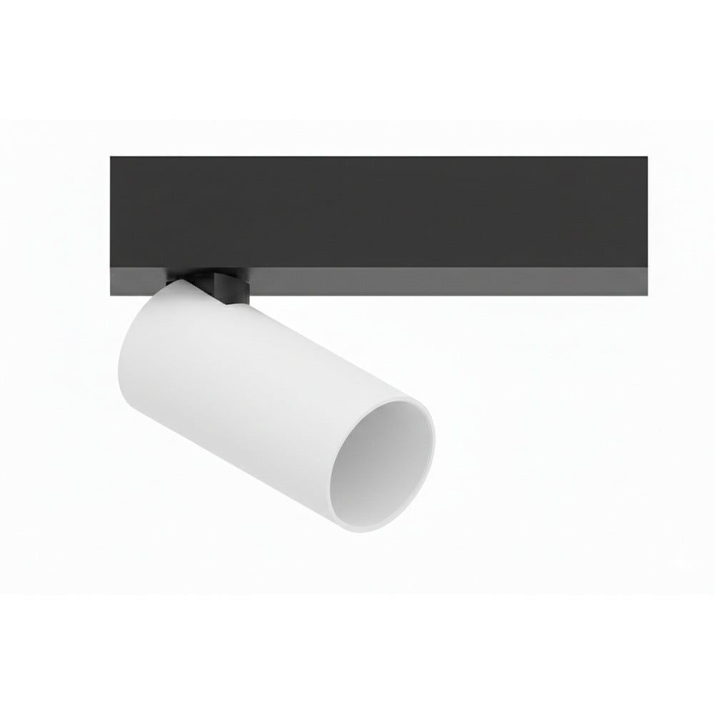 Lyora Tevo Mini 1-lichts opbouwspot zwart met wit