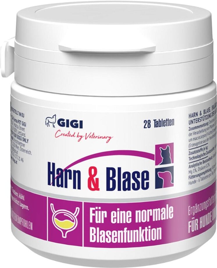 GIGI VET Harn & Blase N28