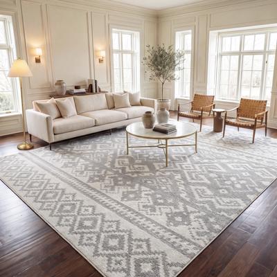 SAFAVIEH Adirondack Dixie Rustic Boho Rug