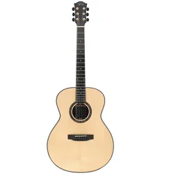 Duke Guitars GA-PF-Solid - Westerngitarre