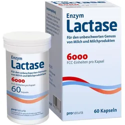Lactase 6000 Fcc 60 ST