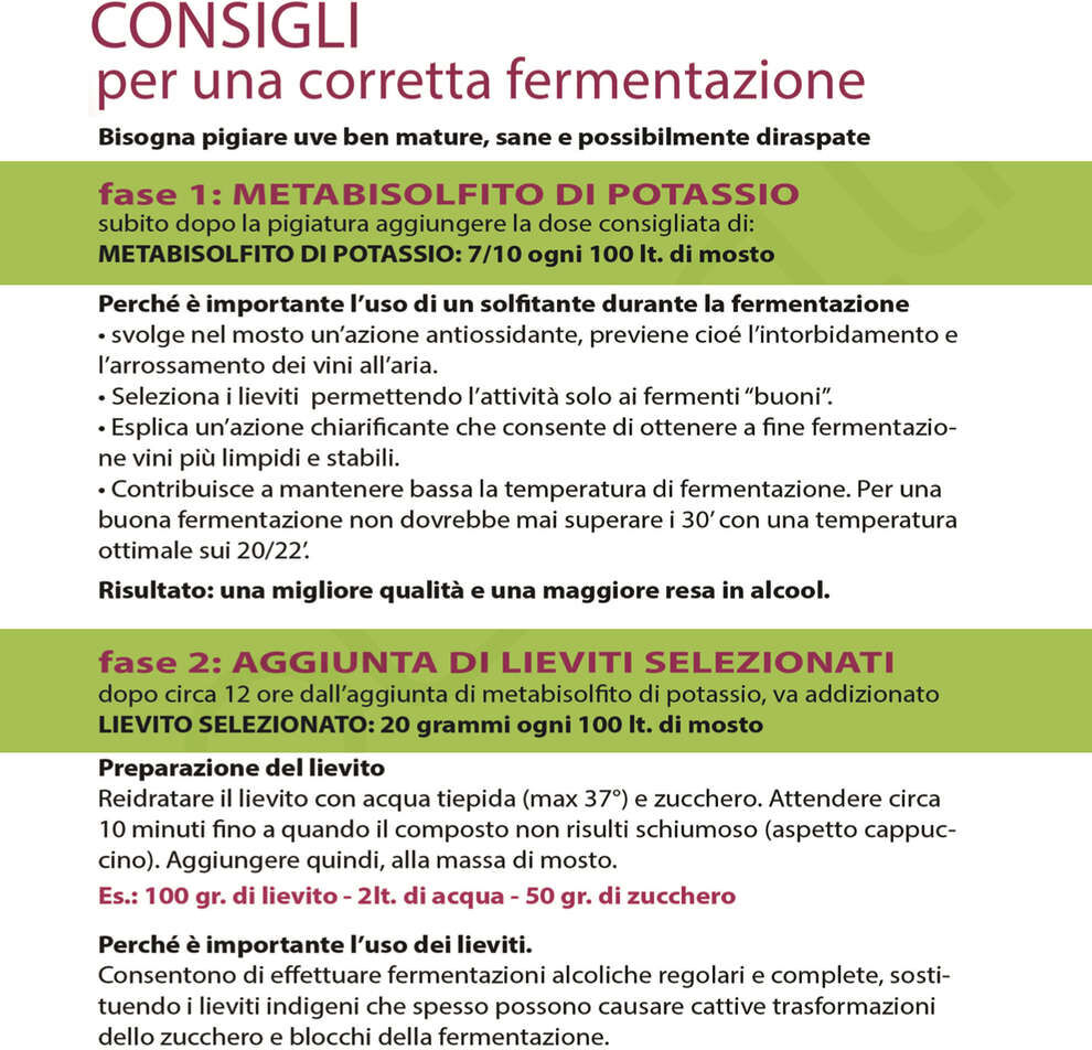 Polsinelli Levure Eno R (100 g)