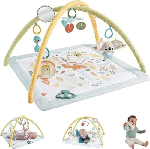 Mattel Fisher-Price Simply Senses Sensorische Erlebnisdecke, Spielbogen/Decke