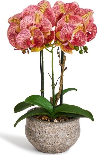 4EverGreen Orkide, 42 Cm, Orange