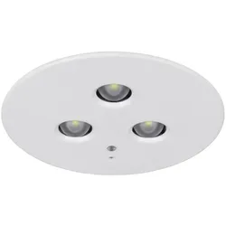 Ceag Notlichtsysteme LED-Einzelbatterie-Leuchte 3583 1-8hDLEDCGLine+