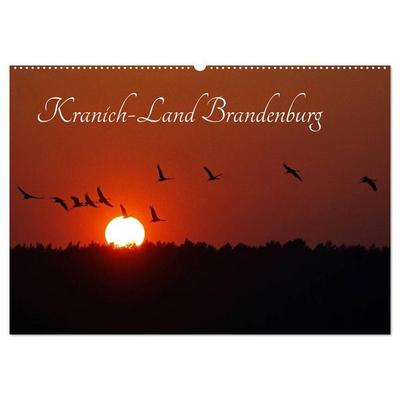 Kranich-Land Brandenburg (Wandkalender 2027 DIN A2 quer), CALVENDO Monatskalender