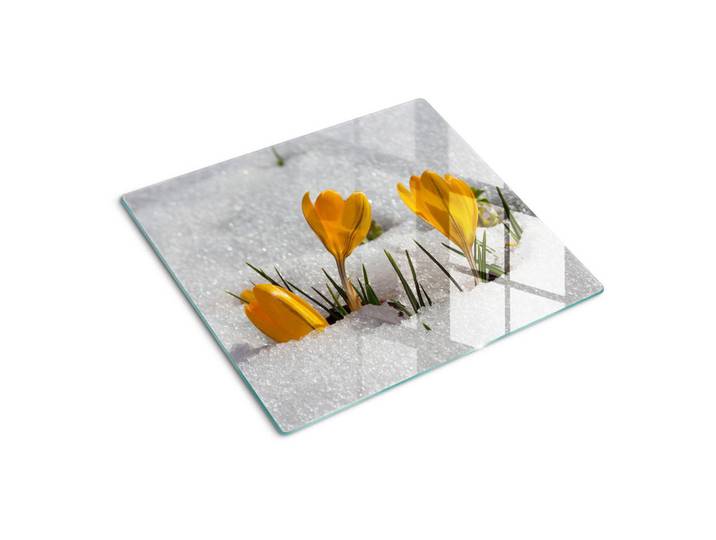 Tulup Glasplatte 60x52 cm Krokusse im Schnee, Gelb, Glas, 60x0.4x52 cm, Küchen, Küchenelektrogeräte, Herde, Herdabdeckplatten