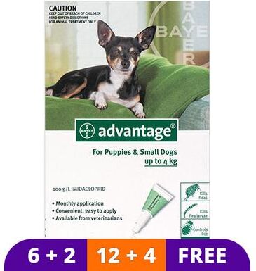 Advantage Small Dogs/ Pups 1-10lbs (Green) 6 Doses + 2 Free