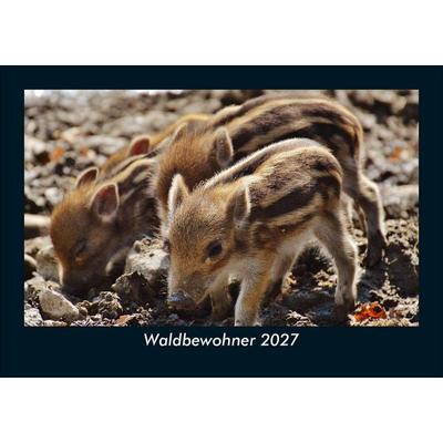 Waldbewohner 2027 Fotokalender DIN A5
