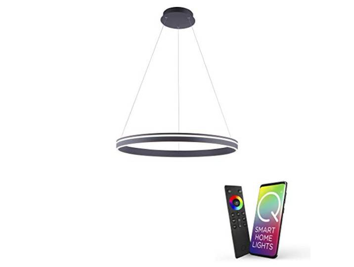 Paul Neuhaus Q-VITO LED Pendelleuchte 79cm anthra smarthome Fernbedienung