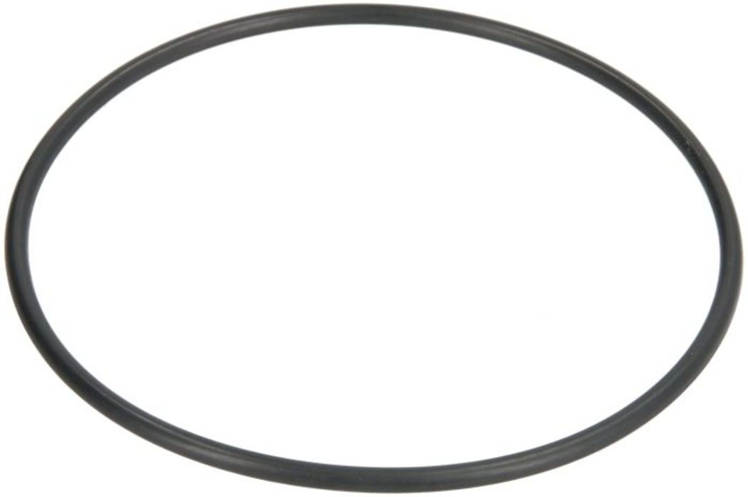 Zf O-ring, cambio 0634306295