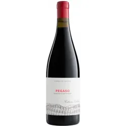 Pizarra 2022 - Pegaso - Telmo Rodríguez