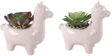 Flora Bunda "SET OF 2 Artificial Plant Succulent in 5.5"" Llama Pot - ONE-SIZE"