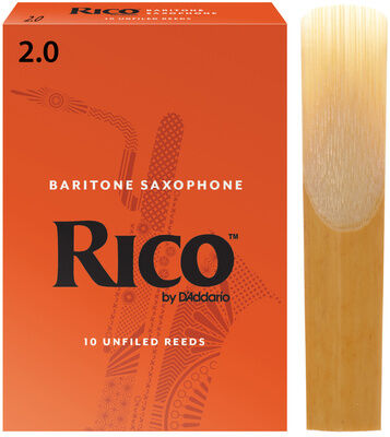 DAddario Woodwinds Rico Baritone Saxophone 2.0