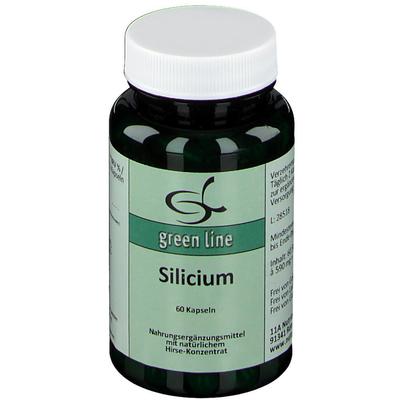 Silicium Kapseln 60 St