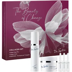 Dr. Spiller The Beauty of Change Collagen Weihnachtsset 2026 90 ml