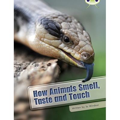 Bug Club Independent Non Fiction Year Two White A How Animals Smell, Taste and Touch, Taschenbuch von Jo Windsor, Pearson ELT, 978-0-435-07630-6