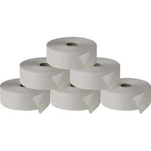 Fripa Toilettenpapier 1433801, 2-lagig, Recyclingpapier, Jumborolle, 380 m, 6 Rollen