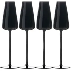 Intirilife Champagner Sekt Glas Set 220ml, Weingläser, Schwarz