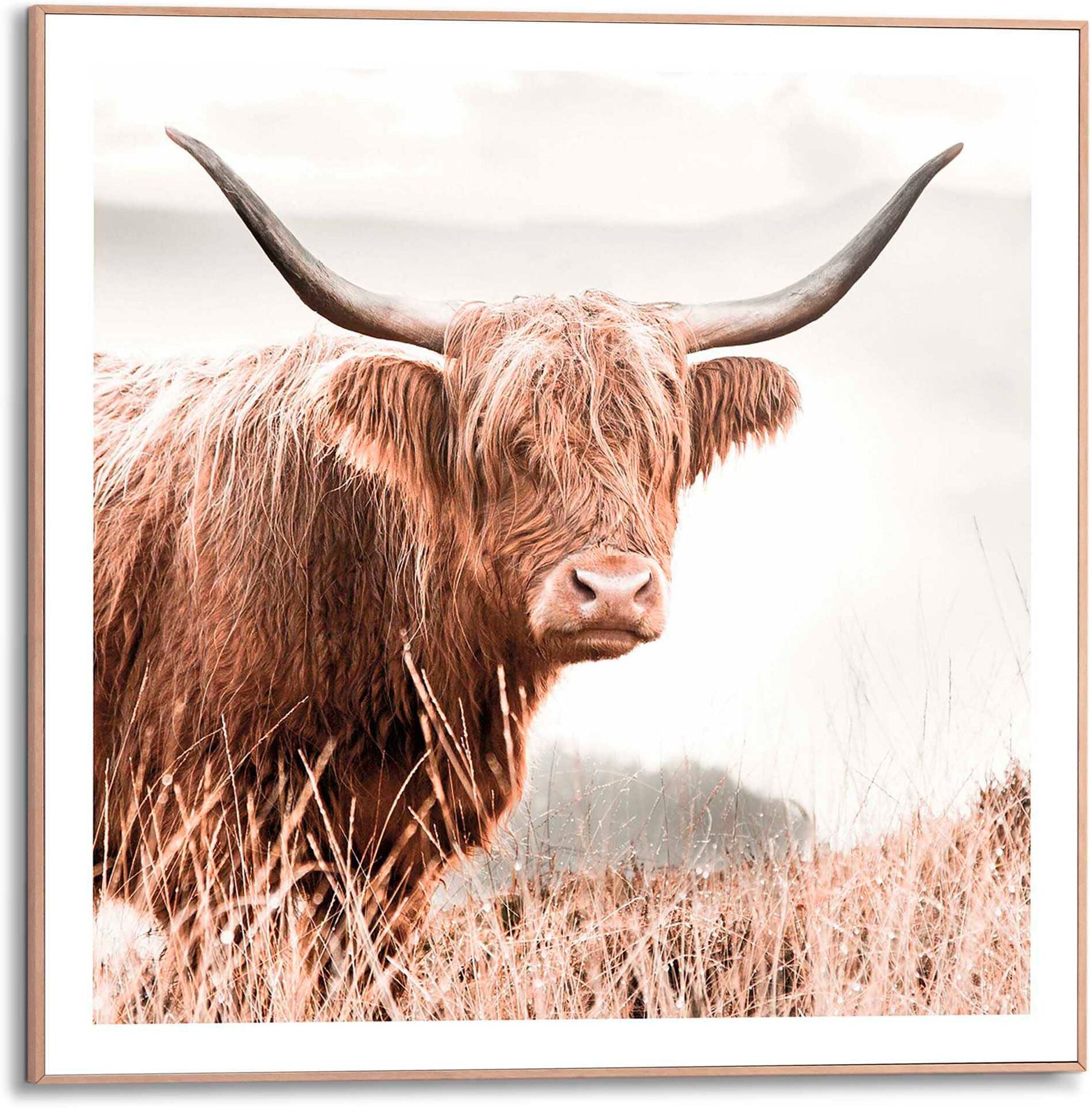 Reinders! Poster REINDERS "Highlander", braun (farbe bild(er): braun), B:50cm H:50cm T:1,6cm, MDF, Bilder, Poster farbe bild(er): braun B/H/T: 50cm x 50cm x 1,6cm