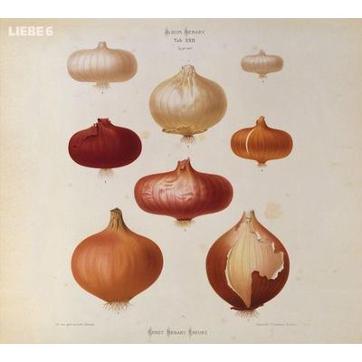 Liebe 6 - Hagen Rether, CD, 9783837135206