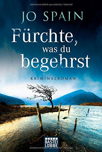 Jo Spain - Fürchte, was du begehrst: Kriminalroman (Irland-Krimis, Band 2) - Preis vom 17.10.2026 19:25:27 h