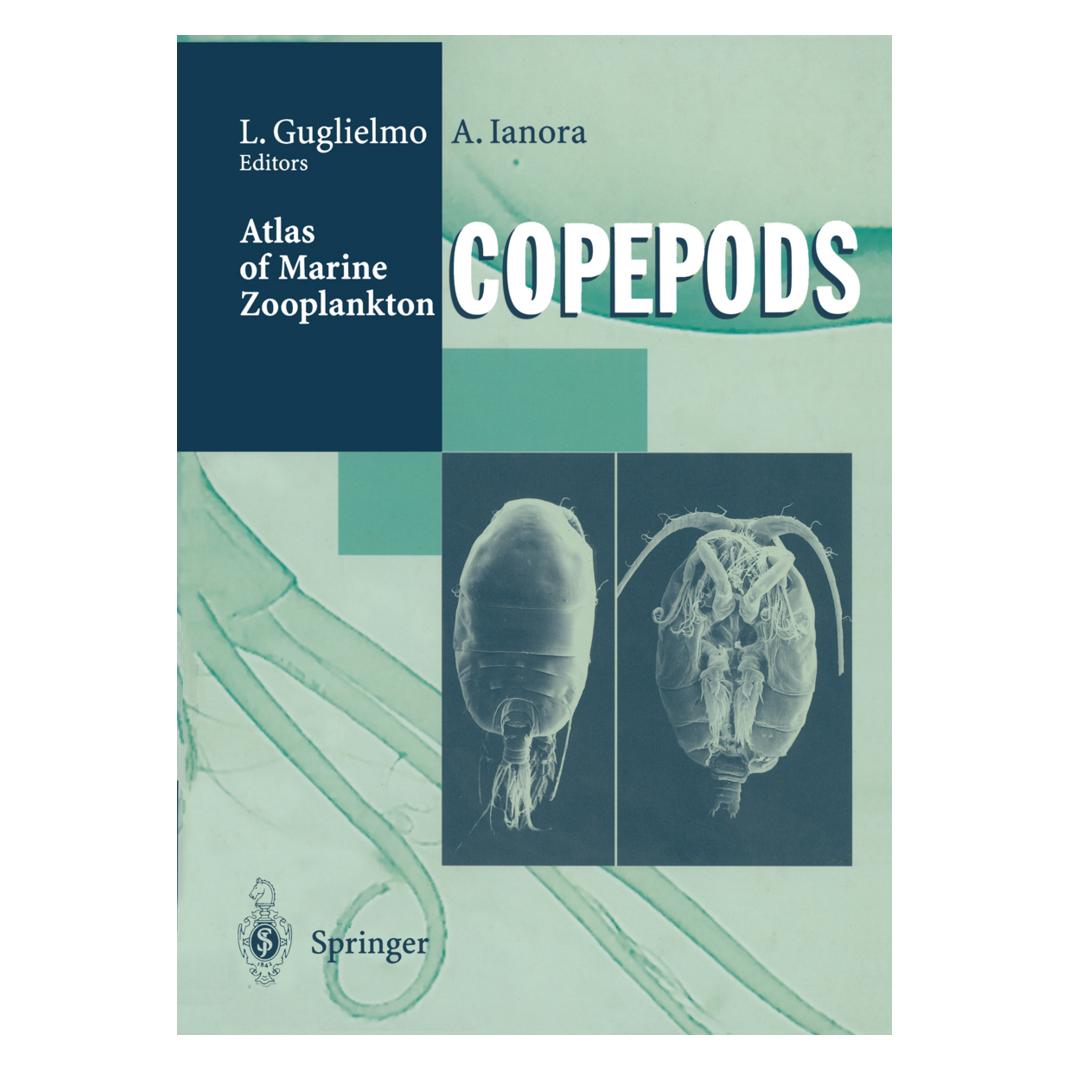 Springer Atlas of Marine Zooplankton Straits of Magellan (Englisch, Softcover, Adrianna Ianora, Letterio Guglielmo) (55508387)