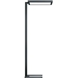 Zumtobel, Stehlampe, 42188108