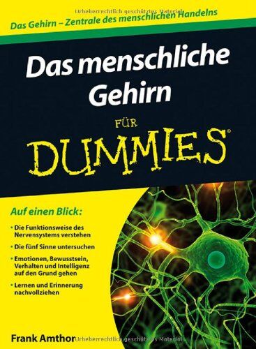 Frank Amthor - Das menschliche Gehirn für Dummies (Fur Dummies) - Preis vom 13.10.2026 11:25:28 h