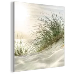 METALLBILD Dünen mit Strandhafer in der Sonne des Nationalparks Schleswig-Holsteinisches Wattenmeer 90x90 cm
