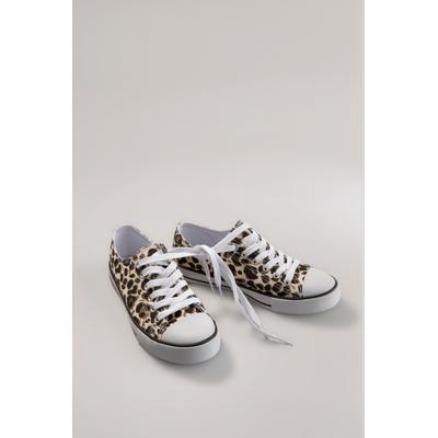 Sneaker ANISTON SHOES, Damen, Gr. 38 (5), Textil, braun (leo), Schuhe Skaterschuh Canvassneaker Sneaker low, Freizeitschuh, Sneaker mit klassischen umlaufenden schwarzen Streifen
