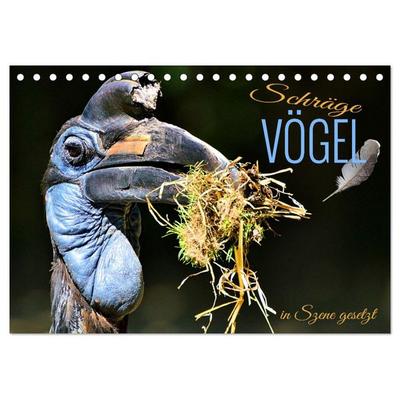 Schräge Vögel in Szene gesetzt (Tischkalender 2026 DIN A5 quer), CALVENDO Monatskalender