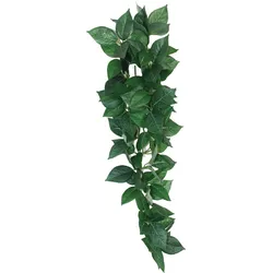 Komodo Sumatra Hanging Vine, Terrariumeinrichtung