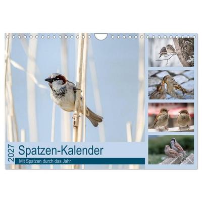 Spatzen-Kalender (Wandkalender 2027 DIN A4 quer), CALVENDO Monatskalender