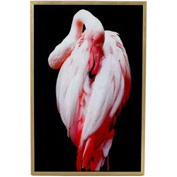 VOSS Design Glas-Bild Flamingo