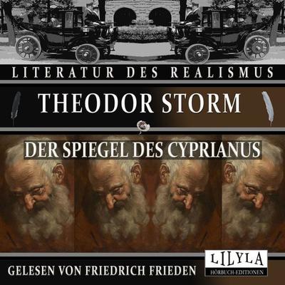 Der Spiegel des Cyprianus - Theodor Storm, Audio, 9783988520180