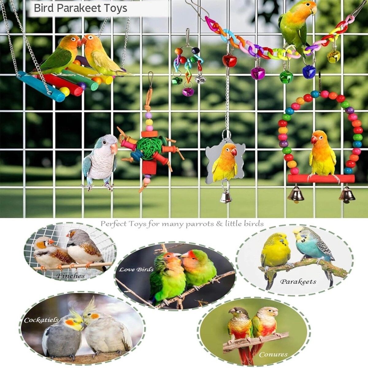 INF Set de 11 jouets multicolores en bois de pin et métal pour oiseaux - Jouets à mâcher pour perroquet, accessoires de cage