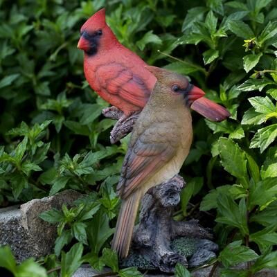 Hi-Line SoReal Red Cardinals on branch