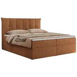 BOXBETT PREMIUM 10 160/200 Orange Struktur - H3