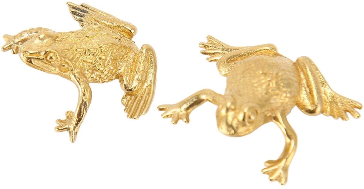Dailygoods Geld Kikker - 2 Stuks - Feng Shui Decoratie - Retro Design - Interieur Ornamenten