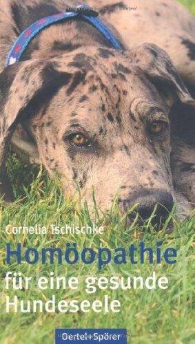 Cornelia Tschischke - Homoöpathie für eine gesunde Hundeseele - Preis vom 13.10.2026 19:28:25 h